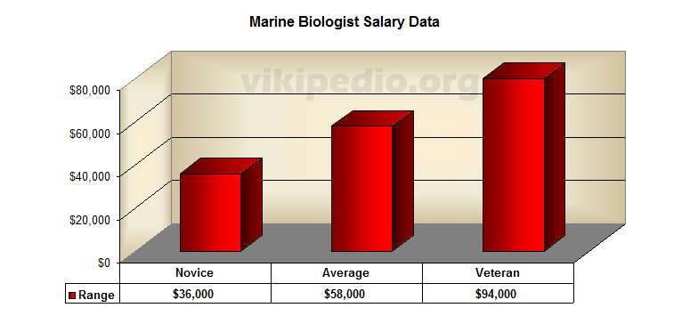 Marine Income Chart